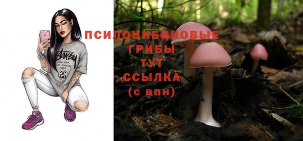 a pvp Майский