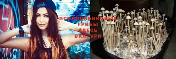 метадон Медногорск