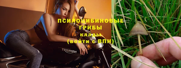 трава Магадан